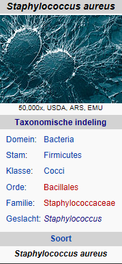 Staphylococcus aureus 1.png?132559733705